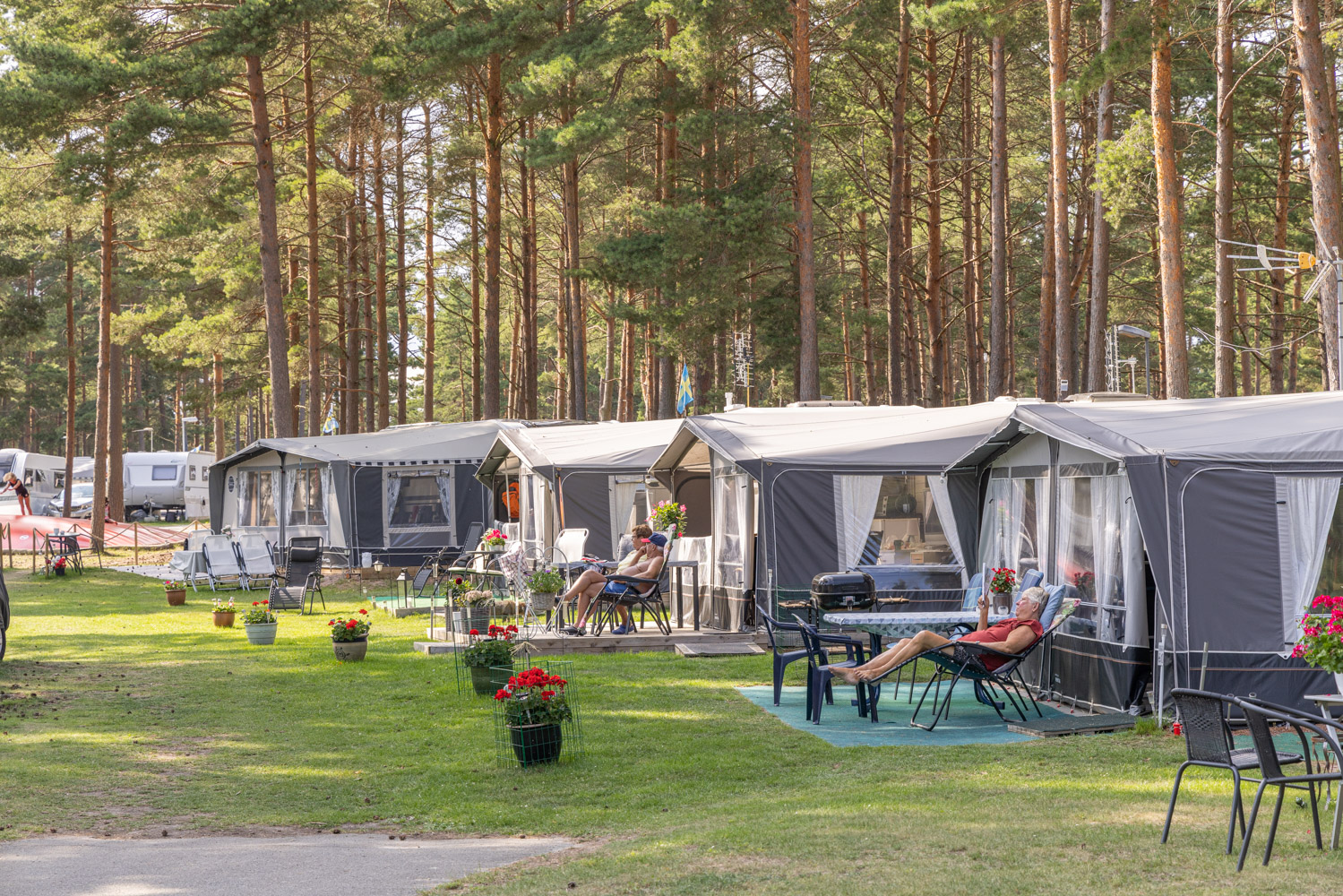 Camping med fyra platser i förgrunden där människor sitter utanför sina förtält och solar.