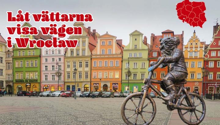 Låt vättarna  visa vägen  i Wrocław