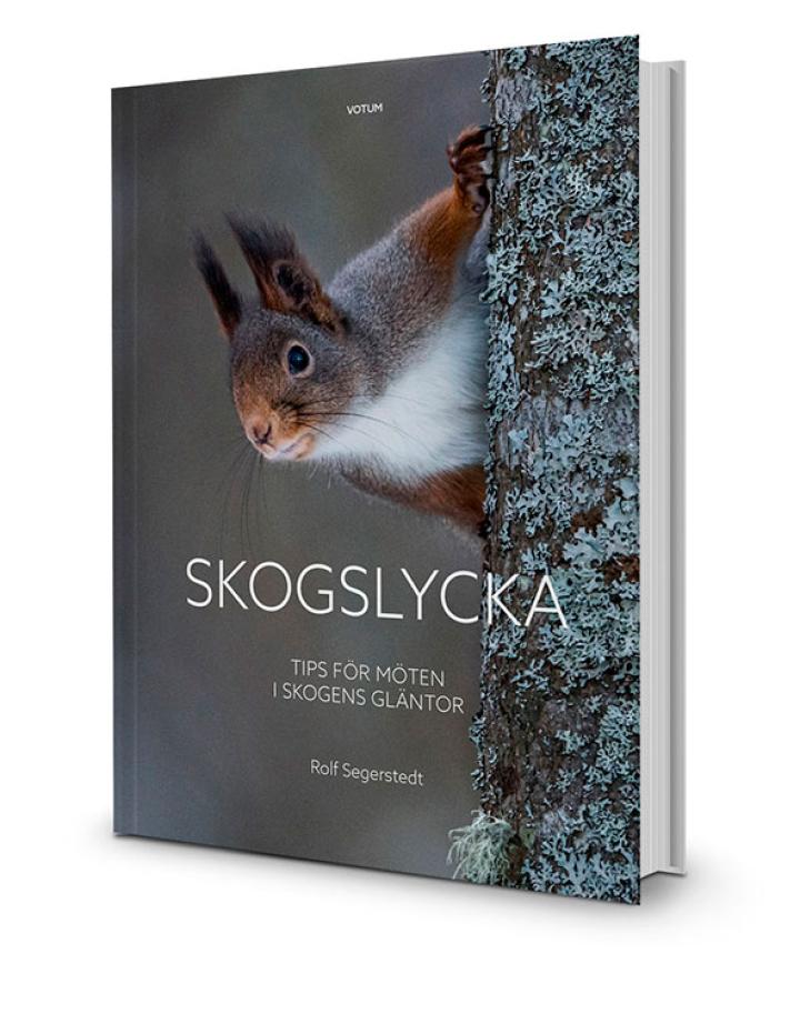 Boken Skogslycka av Rolf Segerstedt